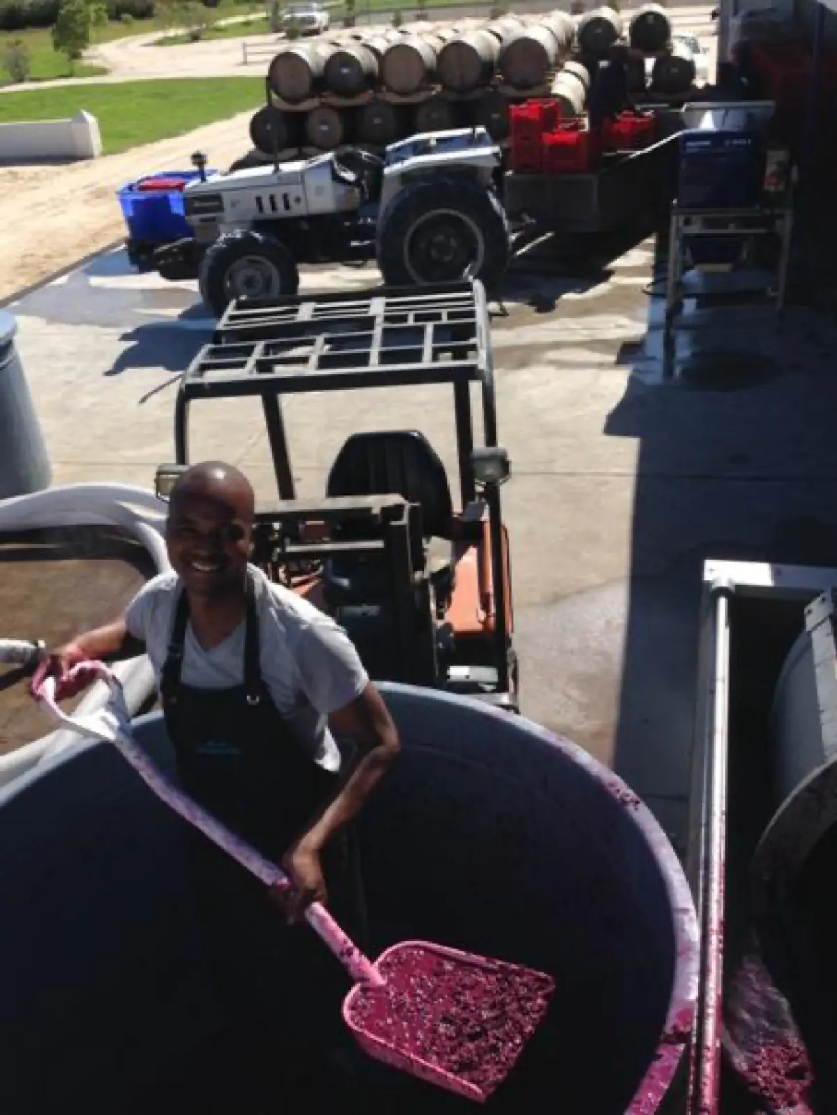 Winemaking in the cellar