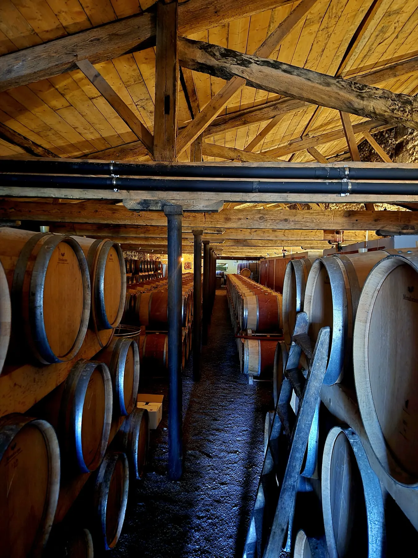 Rows of barrels in the cellar