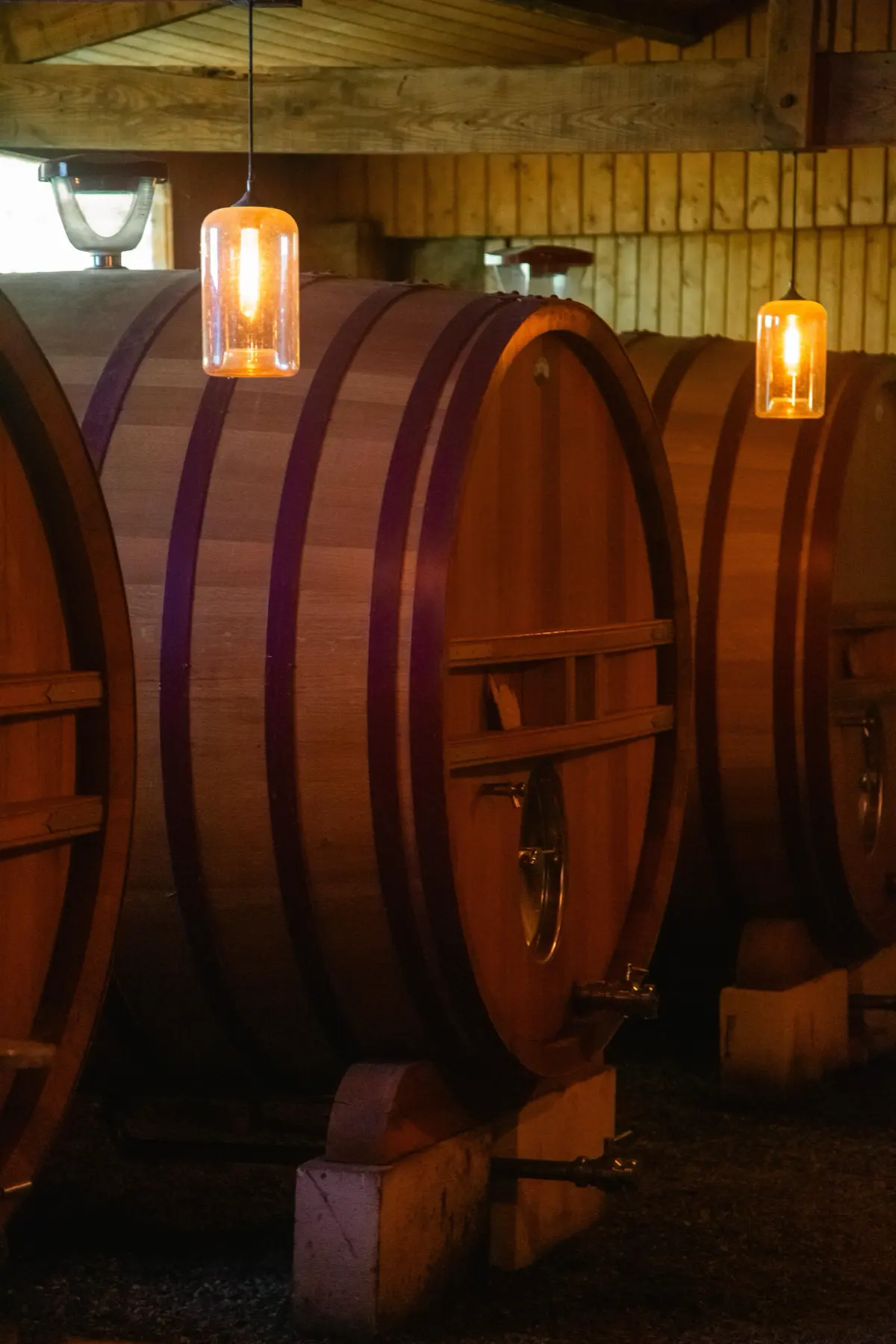 Large oak foudres lining the cellar