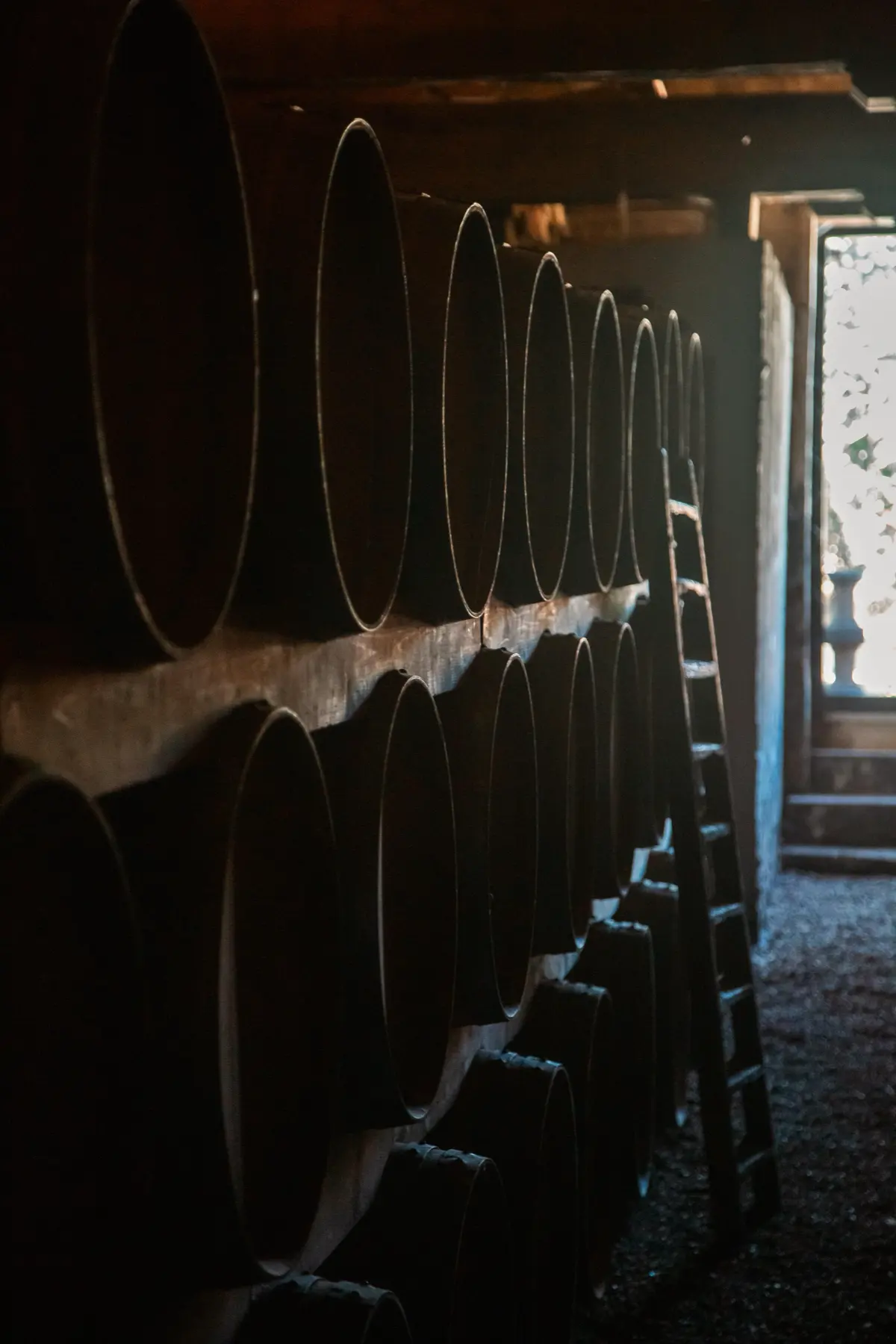 Barrel stacks and a ladder in the cellar