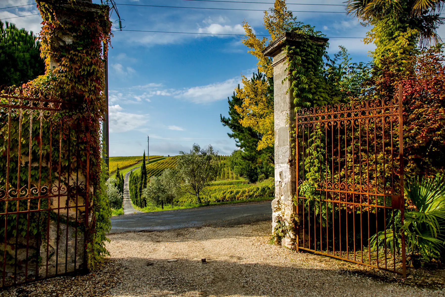 Open iron gates leading toward the vineyards
