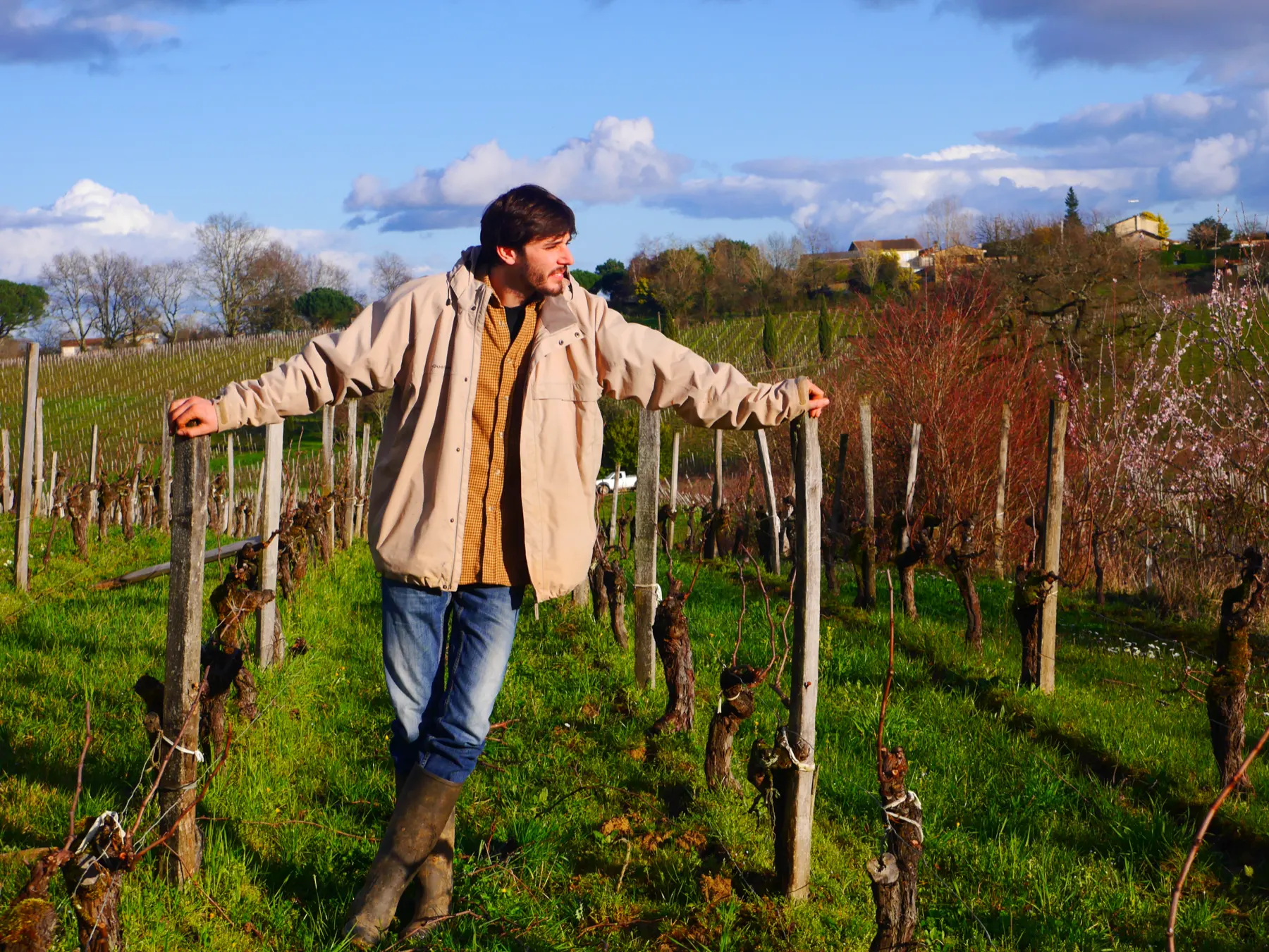 Lou Bassereau standing among the vine rows