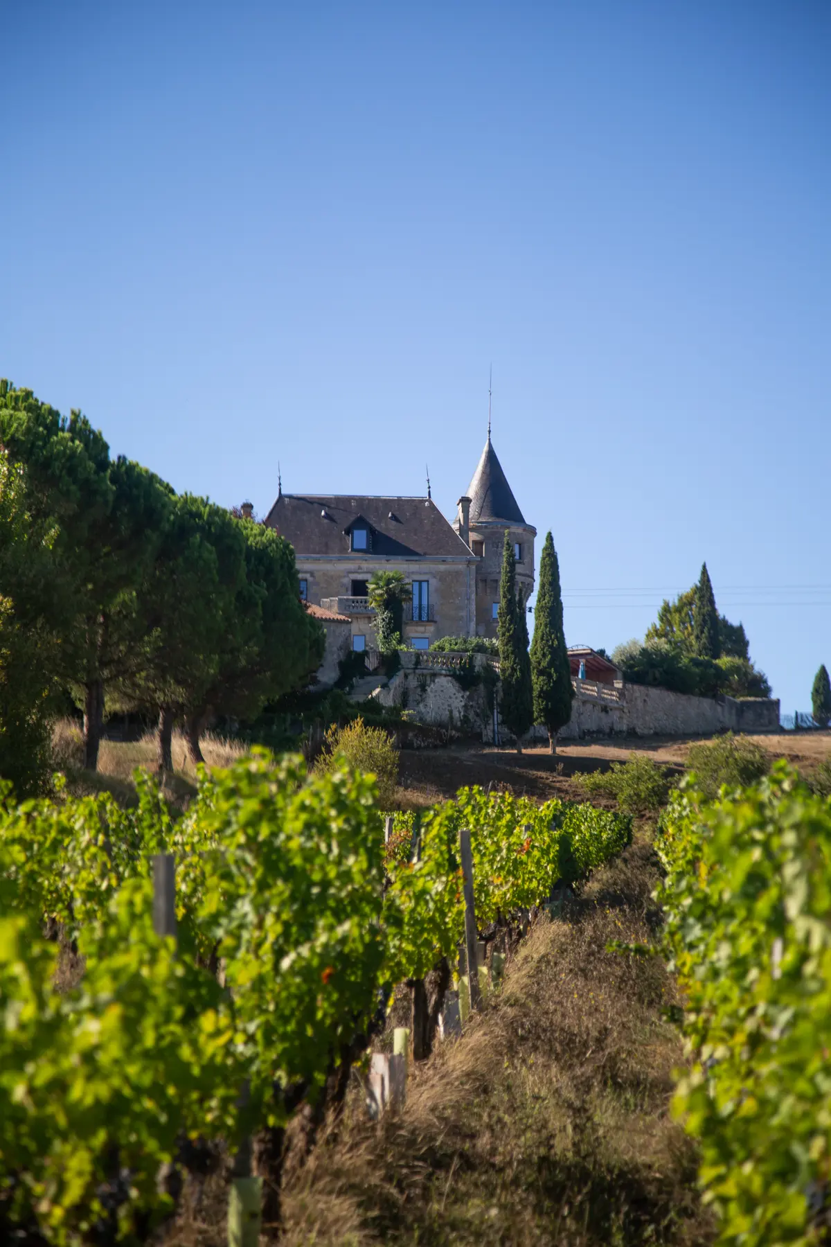 Château de la Grave behind a tree-lined hillside