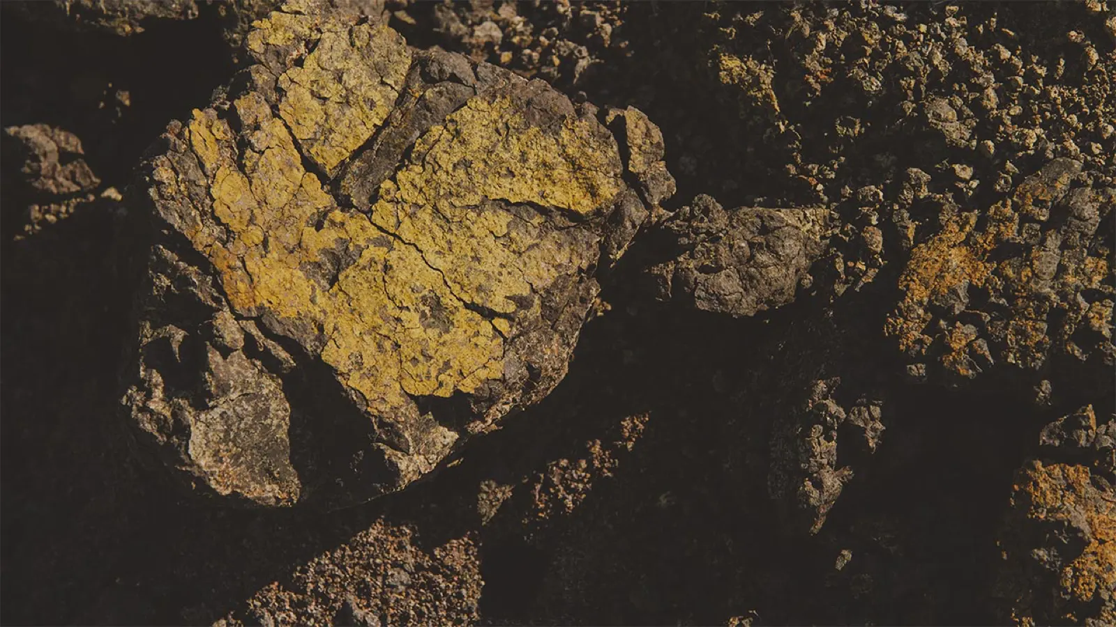 Close-up of dark volcanic rock flecked with yellow lichen