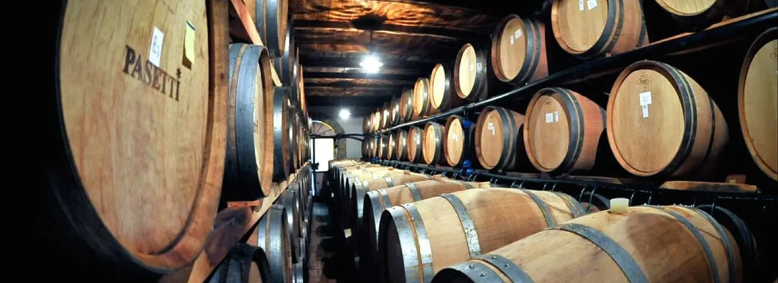 Rows of oak barrels stamped Pasetti in a vaulted cellar