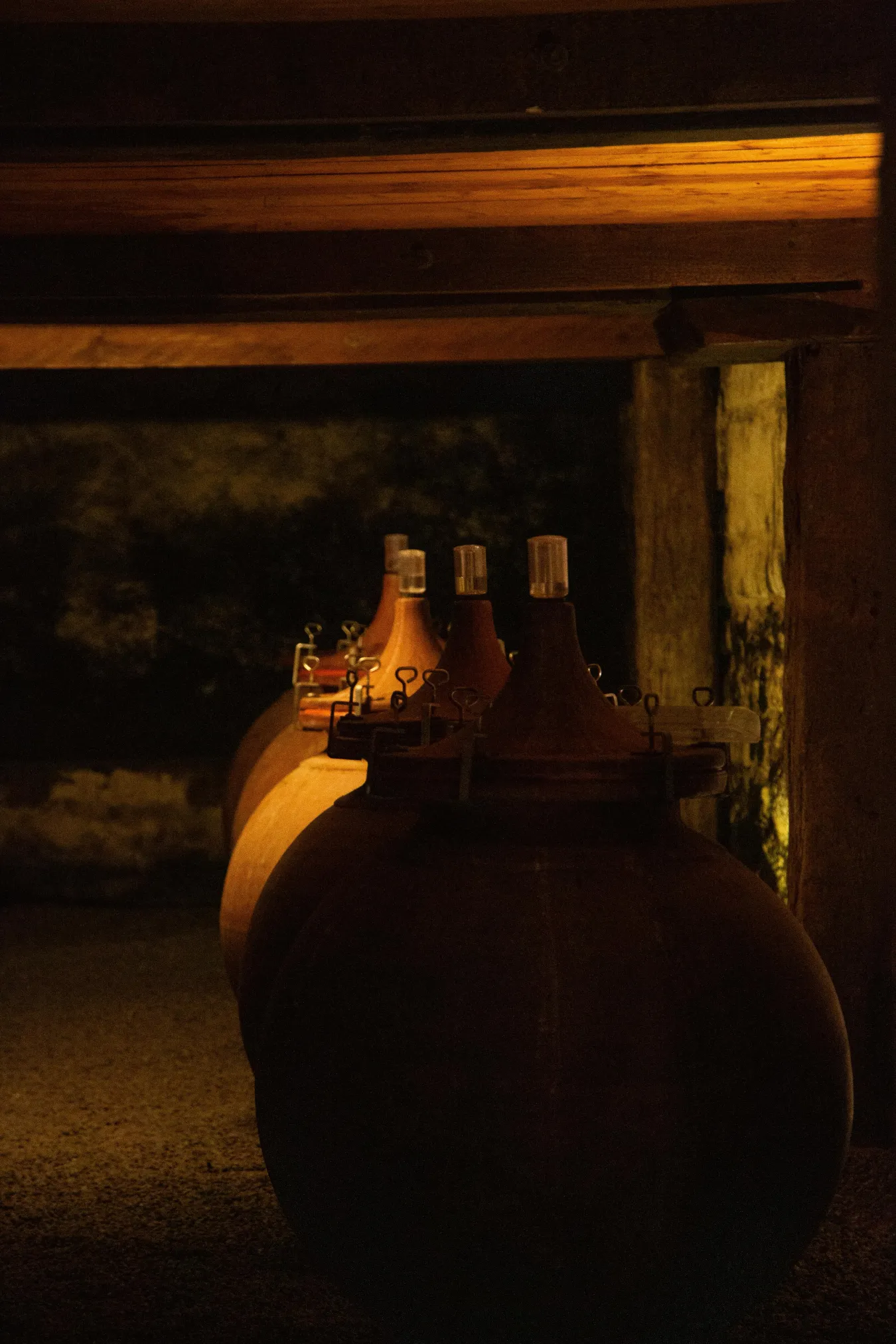 Terracotta amphorae lined up in a winery cellar