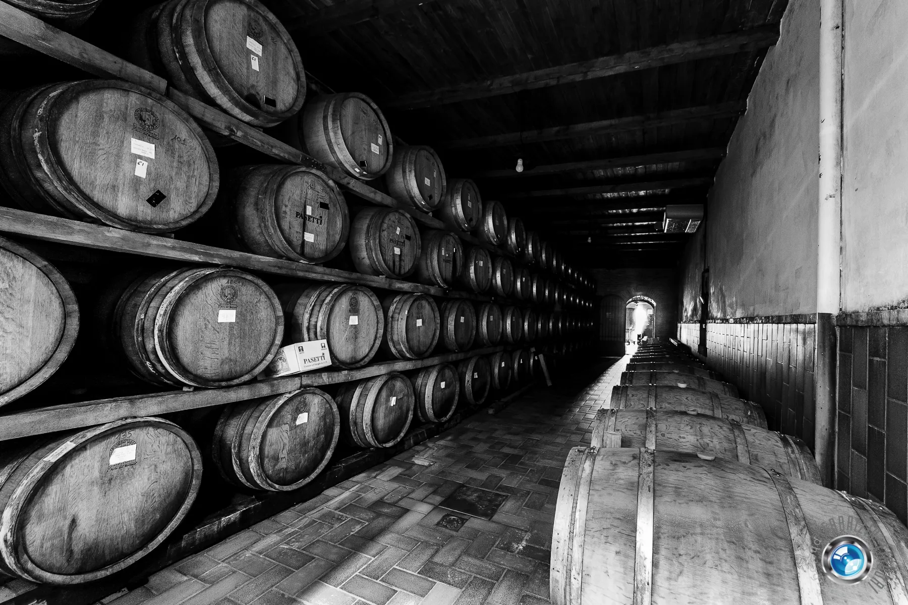 Barrels in the Pasetti cellar